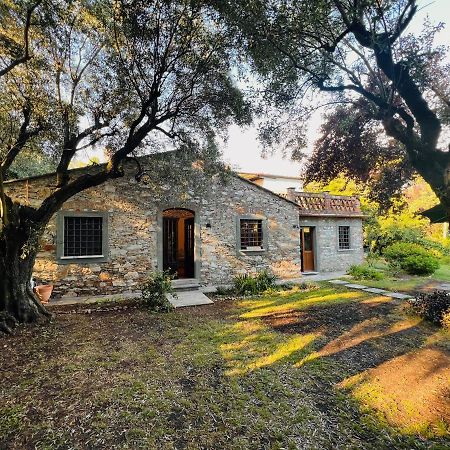 La Casina Di Susy Villa Seravezza Exterior foto